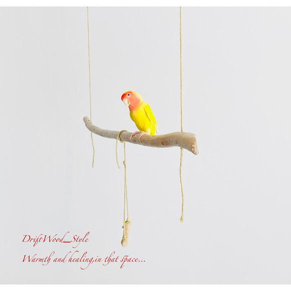 流木インテリア  シンプルな天然流木の小鳥の止まり木 吊り下げタイプ インコ 鳥 ブランコ 自然木 No.10 2枚目の画像