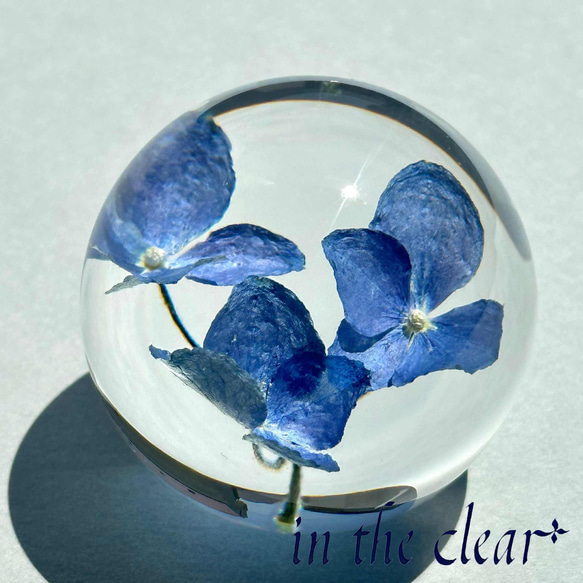 植物標本 紫陽花 青 レジン 4センチ球体 ハーバリウム・植物標本 in 