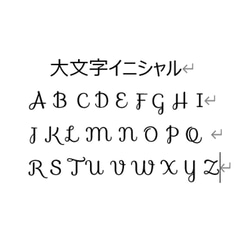 １個選択　リバティ　アクリルイニシャルチャーム　イニシャルタグ　キーホルダー　イニシャルお入れします【C-8】 6枚目の画像