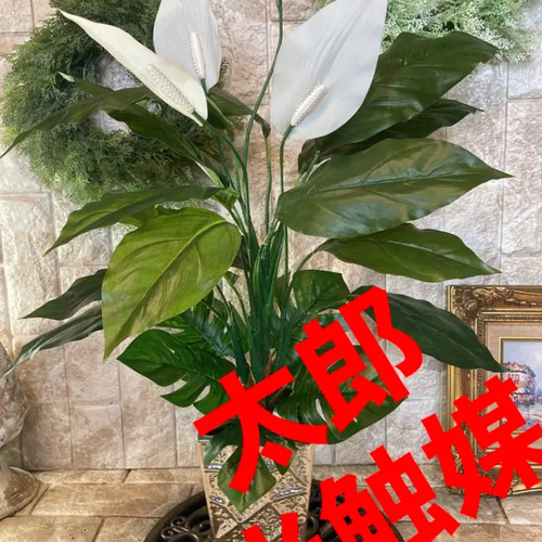古典 光触媒 フェイクグリーン ウォールグリーン 人工観葉植物 フラワー・ガーデニング
