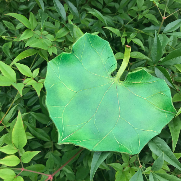 本革　葉っぱ　蕗の葉　レザートレイ　 2枚目の画像