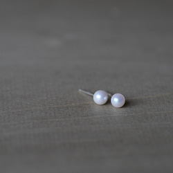 [送料無料] SV925 Akoya Pearl stud earrings(φ5,PES002) 2枚目の画像