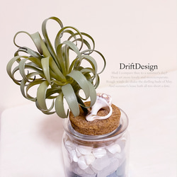 〜Drift Design〜　造花と貝殻のお洒落なシーグラスの瓶詰め　ハワイアン　オブジェ　ディスプレイ　インテリア 3枚目の画像