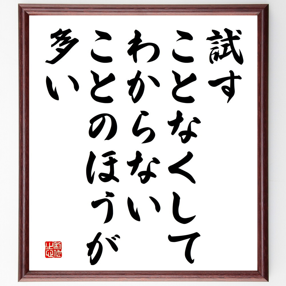 名言「試すことなくして、わからないことのほうが多い」手書き書道色紙額／受注後の毛筆直筆（V5196）