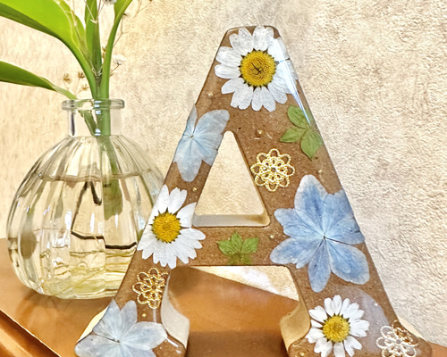 46382248d496a7c6532e7db0fb4c7f