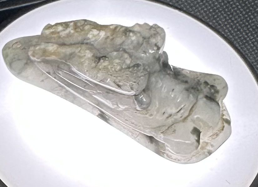 青龍　糸魚川母岩付きロウカン青翡翠