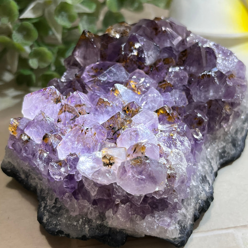 カコクセナイト内包✨ 紫水晶 アメジスト クラスター 原石 ラフ
