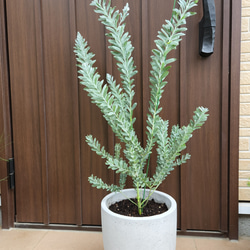 045747d05dc4ffafc7657a8b116994