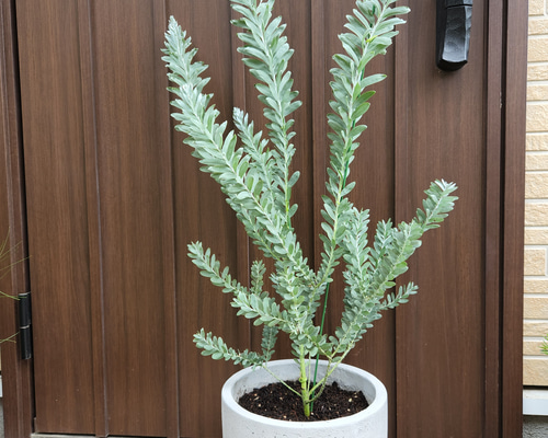 045747d05dc4ffafc7657a8b116994