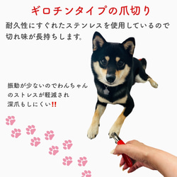 ペット爪切り ペット ペット用 爪切り つめ切り 犬の爪切り ギロチン型 レッド ブラック ステンレス製 送料無料 3枚目の画像