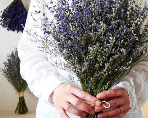 944ad93a7936053244b022860d9319