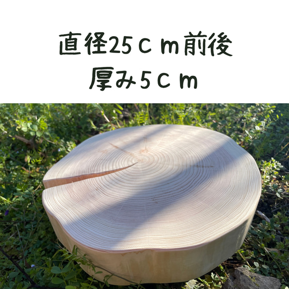 皮無し桧のスライス 円形 直径25〜30cm前後 厚み5cm 木材・板 切り株べ