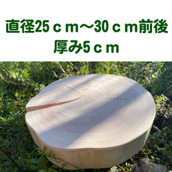 皮無し桧のスライス　円形　直径25〜30cm前後　厚み5cm 1枚目の画像