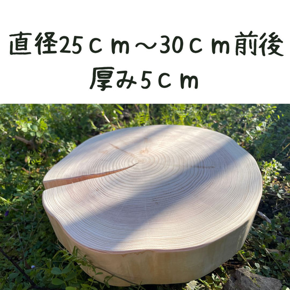 檜　切り株　輪切り　厚み約8㎝ 檜 切り株 輪切り 厚み約8㎝ 檜 切り株 輪切り 厚み約8.5㎝