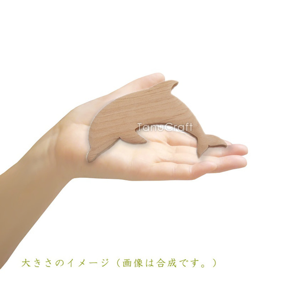  第6張的照片