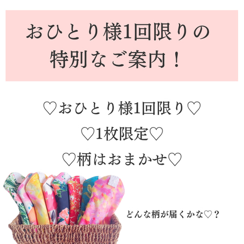 ⭐お試し⭐布ナプキンSサイズ（送料無料！） その他ファッション