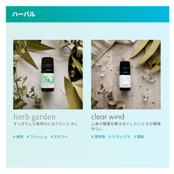 みずみずしいハーブ香るデイタイムオイル《herb garden》 5枚目の画像