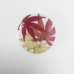 土佐和紙と押し花の花缶バッジ　秋「紅葉」 58㎜×1個 1枚目の画像