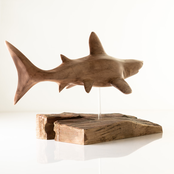 ホオジロサメ(木製) 8枚目の画像