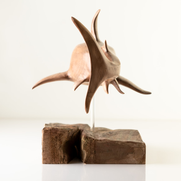 ホオジロサメ(木製) 4枚目の画像