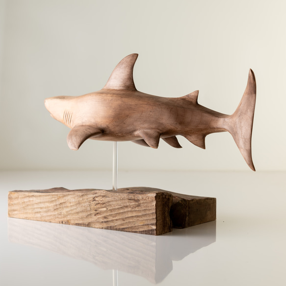ホオジロサメ(木製) 6枚目の画像