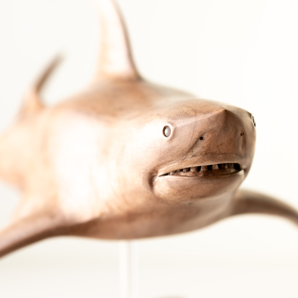ホオジロサメ(木製) 2枚目の画像
