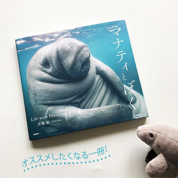 マナティとぼく - Life with Manatees - 馬場裕写真集 3枚目の画像