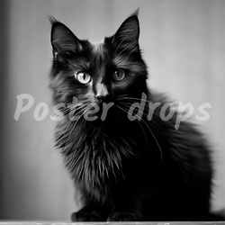 "The Black Cat."/モノクロフォトアートポスター　モノトーンポスター　インテリアやプレゼントにどうぞ。 3枚目の画像