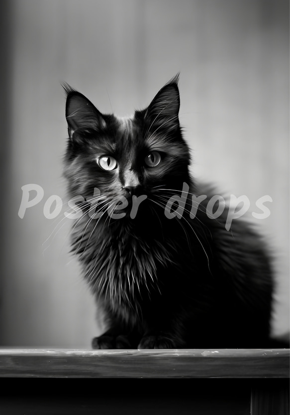"The Black Cat."/モノクロフォトアートポスター　モノトーンポスター　インテリアやプレゼントにどうぞ。 3枚目の画像