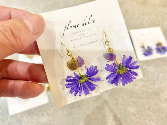 2499円✩アイヒメ山アジサイ✩*॰オリジナルピアス 樹脂 押し花 アクセサリー 本物の紫苑の押し花とアメジストのピアス ピアス（フック・チェーン