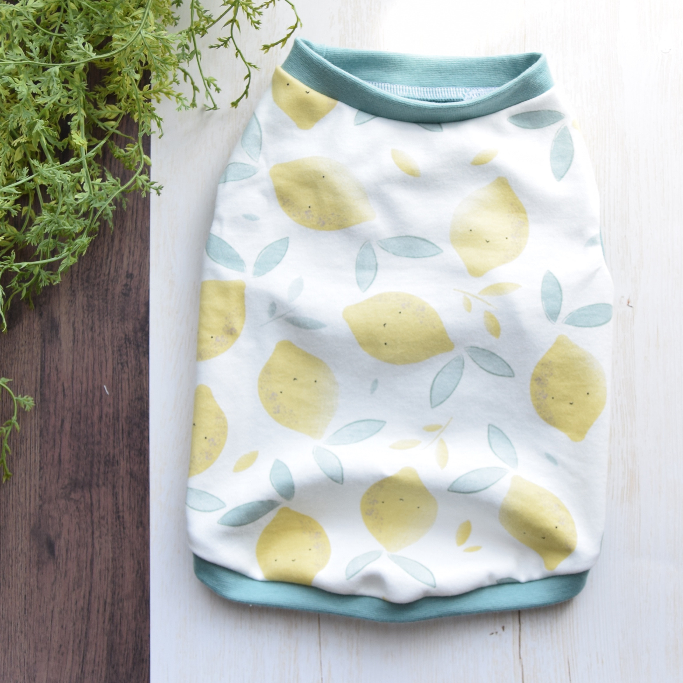 れもん♡︎れもん様専用 ハンドメイド 犬服 【公式通販】