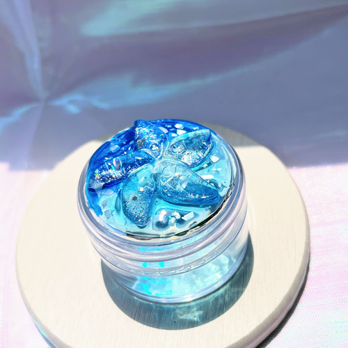 ひとでの海ケース / アクセサリーケース / レジン / シェル