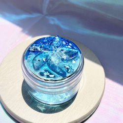 ひとでの海ケース / アクセサリーケース / レジン / シェル その他