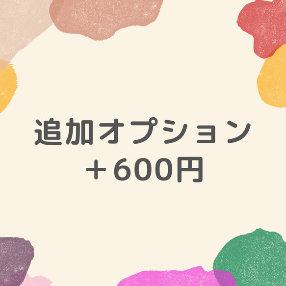 追加オプション600円 1枚目の画像