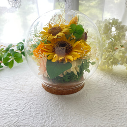 元気がでるプリザーブドフラワーイエロー向日葵に幸せの四葉のクローバー ガラスドームアレンジ 母の日ギフト インテリア 5枚目の画像