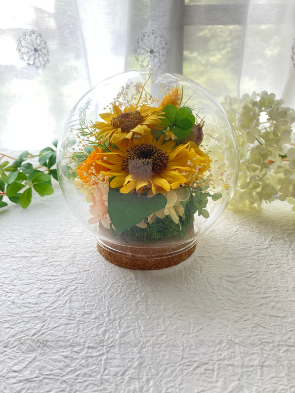 元気がでるプリザーブドフラワーイエロー向日葵に幸せの四葉のクローバー ガラスドームアレンジ 母の日ギフト インテリア 5枚目の画像