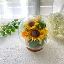 元気がでるプリザーブドフラワーイエロー向日葵に幸せの四葉のクローバー ガラスドームアレンジ 母の日ギフト インテリア 1枚目の画像