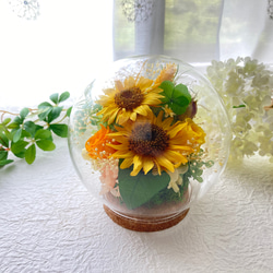 元気がでるプリザーブドフラワーイエロー向日葵に幸せの四葉のクローバー ガラスドームアレンジ 母の日ギフト インテリア 2枚目の画像
