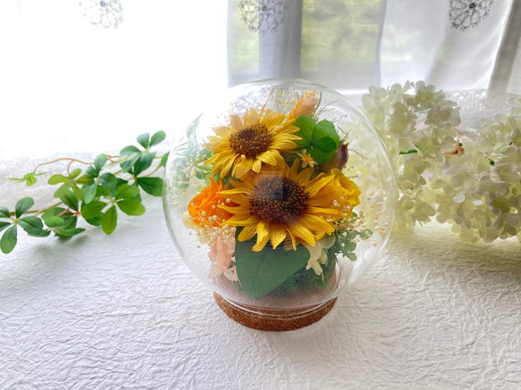 元気がでるプリザーブドフラワーイエロー向日葵に幸せの四葉のクローバー ガラスドームアレンジ 母の日ギフト インテリア 2枚目の画像