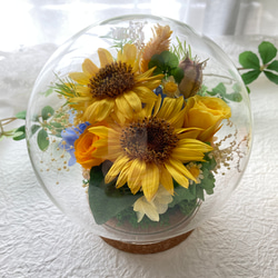 元気がでるプリザーブドフラワーイエロー向日葵に幸せの四葉のクローバー ガラスドームアレンジ 母の日ギフト インテリア 9枚目の画像