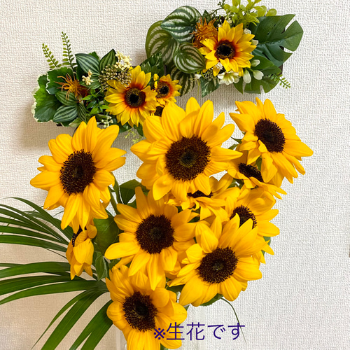 ☆光触媒加工 フェイクグリーン壁掛け ☆元気の出るウォールグリーン 