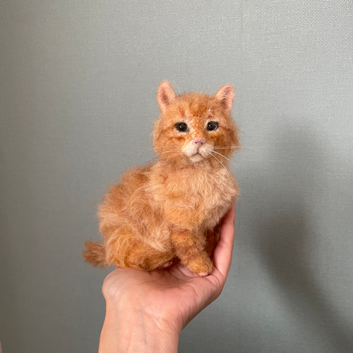 猫目 マイクロエースキハ185-26+キクハ32-502 「瀬戸大橋トロッコ号」