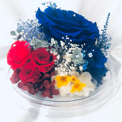 プリザーブドフラワーラウンドドーム/青と赤の冷静と情熱の薔薇 3枚目の画像