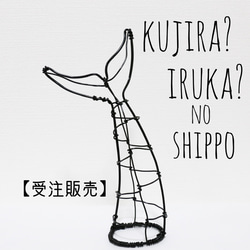 5f08c4385289dd4cb70c46668c9ed9