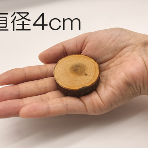 10枚セット】桜 木の輪切り／スライス 直径４cm 厚み1cm 木材・板