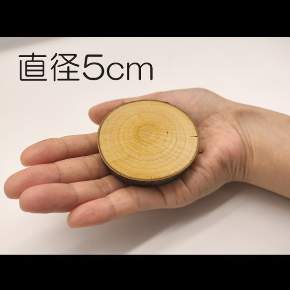 広葉樹 木の輪切り／スライス 直径5cm 厚み1cm 木材・木板