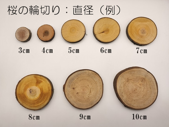 桜 木の輪切り／スライス　直径6cm　厚み1cm 2枚目の画像