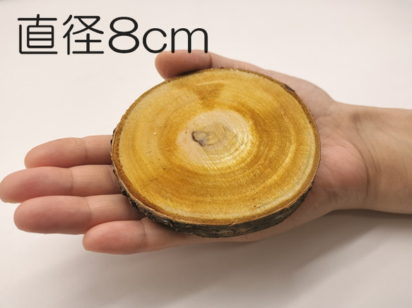 桜 木の輪切り／スライス　直径8cm　厚み1cm 1枚目の画像