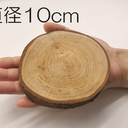 桜 木の輪切り／スライス　直径10cm　厚み1cm 1枚目の画像