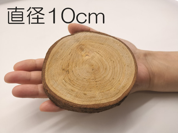 桜 木の輪切り／スライス　直径10cm　厚み1cm 1枚目の画像